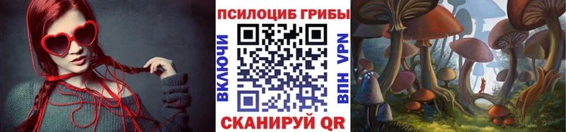 Галлюциногенные грибы прущие грибы  Купить где  Сольвычегодск 