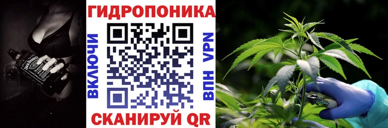 Купить закладки  Сольвычегодск  Бошки марихуана OG Kush 